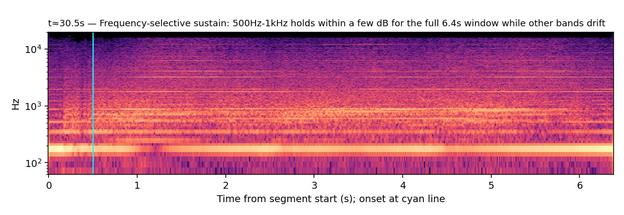Spectrogram, Bow, frequency-selective sustain, t≈30.5s