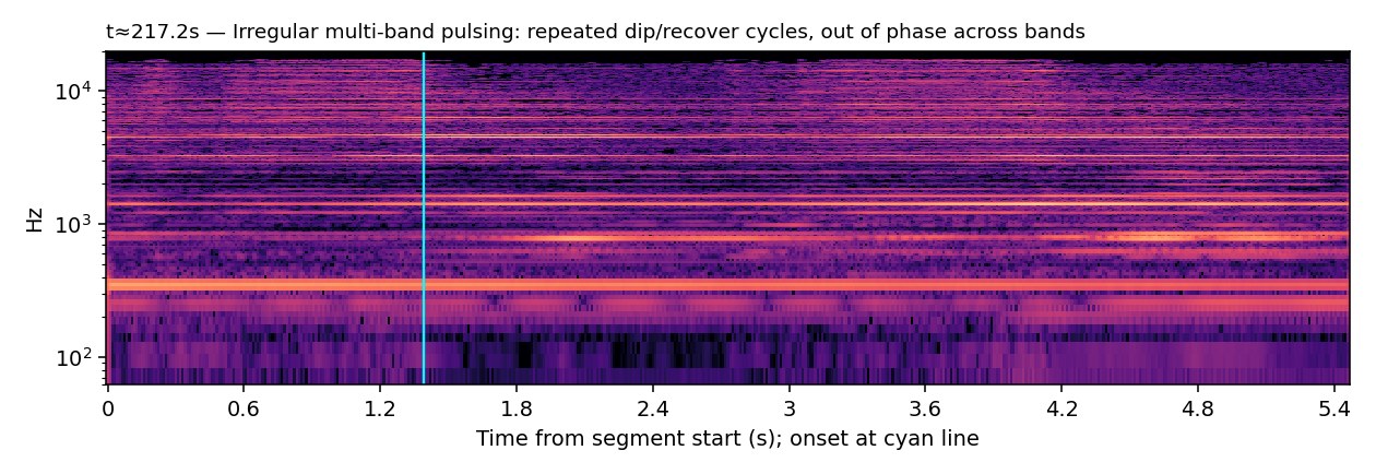 Spectrogram, Bow, irregular multi-band pulsing, t≈217.2s