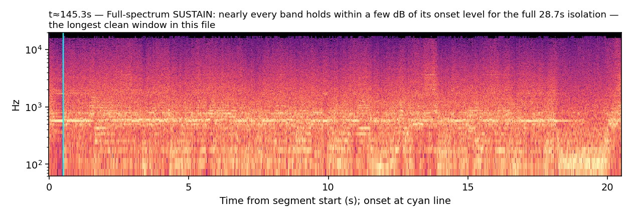 Spectrogram, Guiro, full-spectrum sustain, t≈145.3s