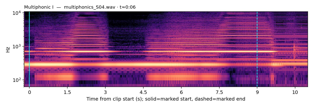 Spectrogram, Multiphonic I